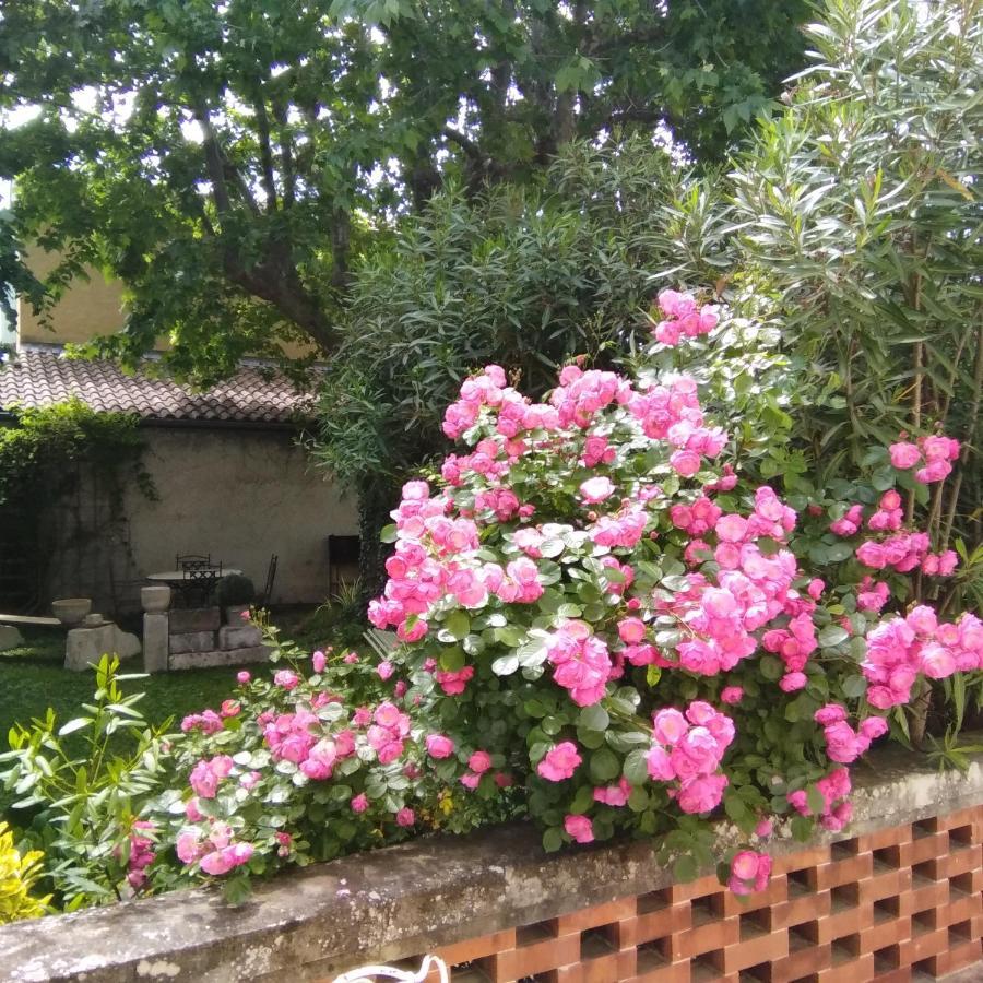 아비뇽 Le Petit Palais Maisonnette 아파트 호텔 외부 사진