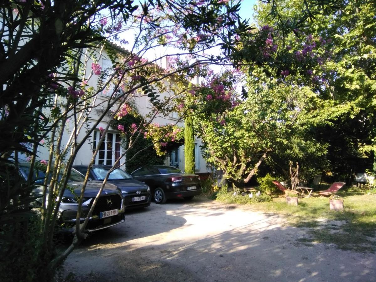 아비뇽 Le Petit Palais Maisonnette 아파트 호텔 외부 사진